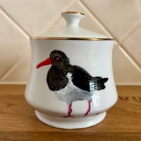 Image 1 of Pied Oystercatcher Sugar Pot