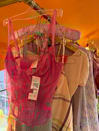 Image 3 of DKNY Pink Mesh Lace Bodice 36B/C
