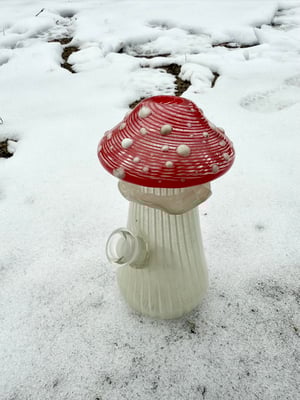 Image of Striped Cane Mushroom Functional (small)