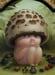Image of The Mushroom Sprite - original oil painting by Mab Graves