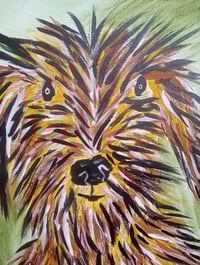 Image 4 of Scruffy Dog 