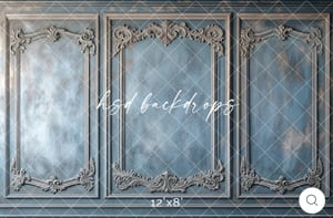 Image of 30-Minute Studio Portrait Session (Elegant Wall)