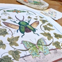 Image 8 of January Dome, Under Glass Collection