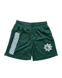 Image 1 of “Vision” P.E Mesh Shorts 