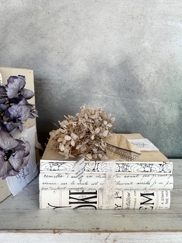 Image of Typography book bundle #1