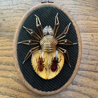 Image 4 of Specimen spider (a, 4x5  inches)