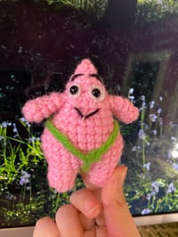 Image 4 of mini patrick