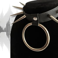 Image 2 of  SLK CHOKER