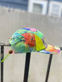 Image 5 of Polo Upcycled Featherweight Mesh Shirt Five Panel