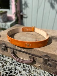 Image 2 of ‘Punjab~Saturn’ Belt 