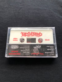 Image 2 of FLESHGRIND- "Demo Days"