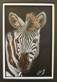 Image 1 of Kenya, Zebra Original Framed Art