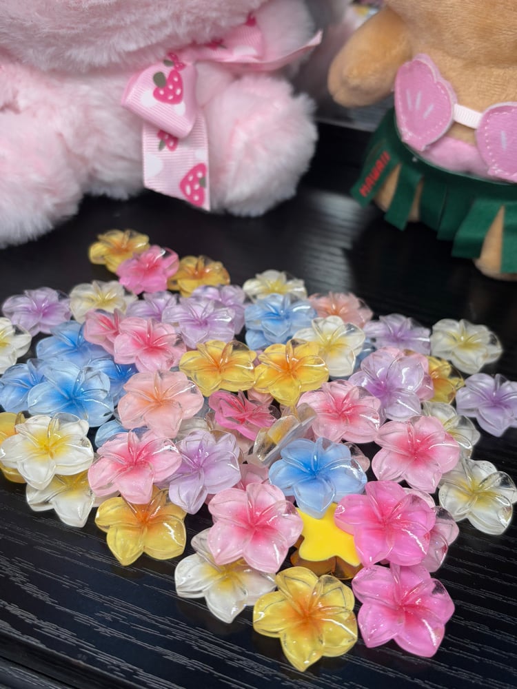 Image of Hawaiian flower mix
