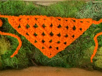 Image 1 of Pumpkin Orange Squirby Bandana