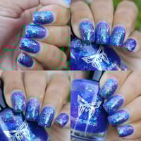 Image 4 of Clumsy Kitty