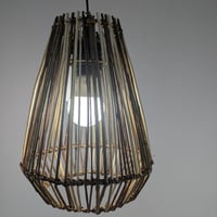 Image 4 of Light Shade by Petals and Pots