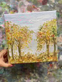 Image 2 of October Walks 