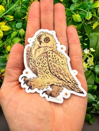 Image 3 of Snowy Owl Sticker