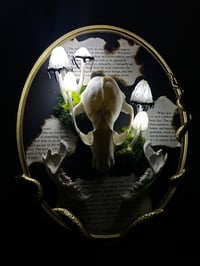 Image 2 of Raccoon skull inky cap led