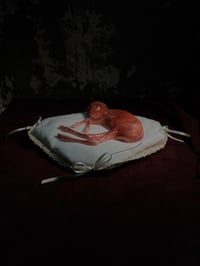 Image 2 of Death cast Roe Deer Embryo 