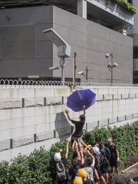 Image 1 of Limited edition prints