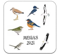 Image 3 of Rarities 2021 Coasters