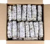 100 white sages 
