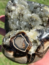 Image 14 of Septarian Nodule Polished Freeform With UV Calcite Inclusions| Madagascar #2893