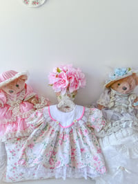 Image 1 of Daisy Dream - 12 months 