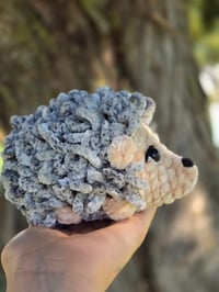 Image 4 of Hazel The Hedgehog 