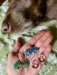 Image 5 of Glass Paws