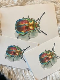 Image 2 of Rainbow Beetle Print