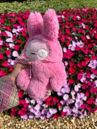 Image 3 of Burton bunny Poppy