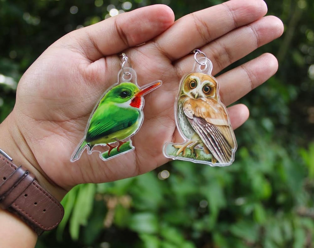 Mucarito Owl Earrings | Puerto Rican Owl