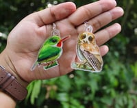 Image 1 of Mucarito Owl Earrings | Puerto Rican Owl