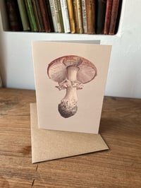 Image 1 of Amanita muscaria II Greeting Card