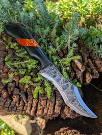 Image 1 of HYBRID HUNTER