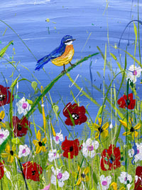 Image 3 of Blue Tit in the Poppies