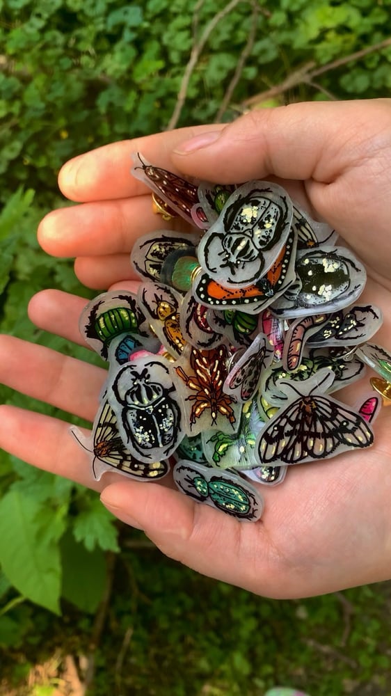 Image of Mystery Bug Pins ( 4 count )