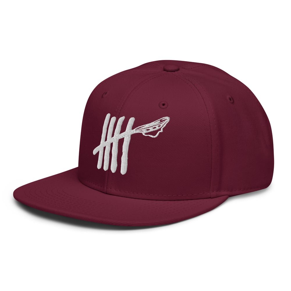 The Tally Snapback Hat