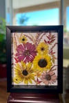 Zinnia, Sunflower, Calendula, Nandina And Corn Tassles In 8" X 10" Shadow Box (Item# 202206LS)