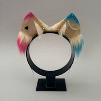 Image 1 of HarleyQuinn Kitten