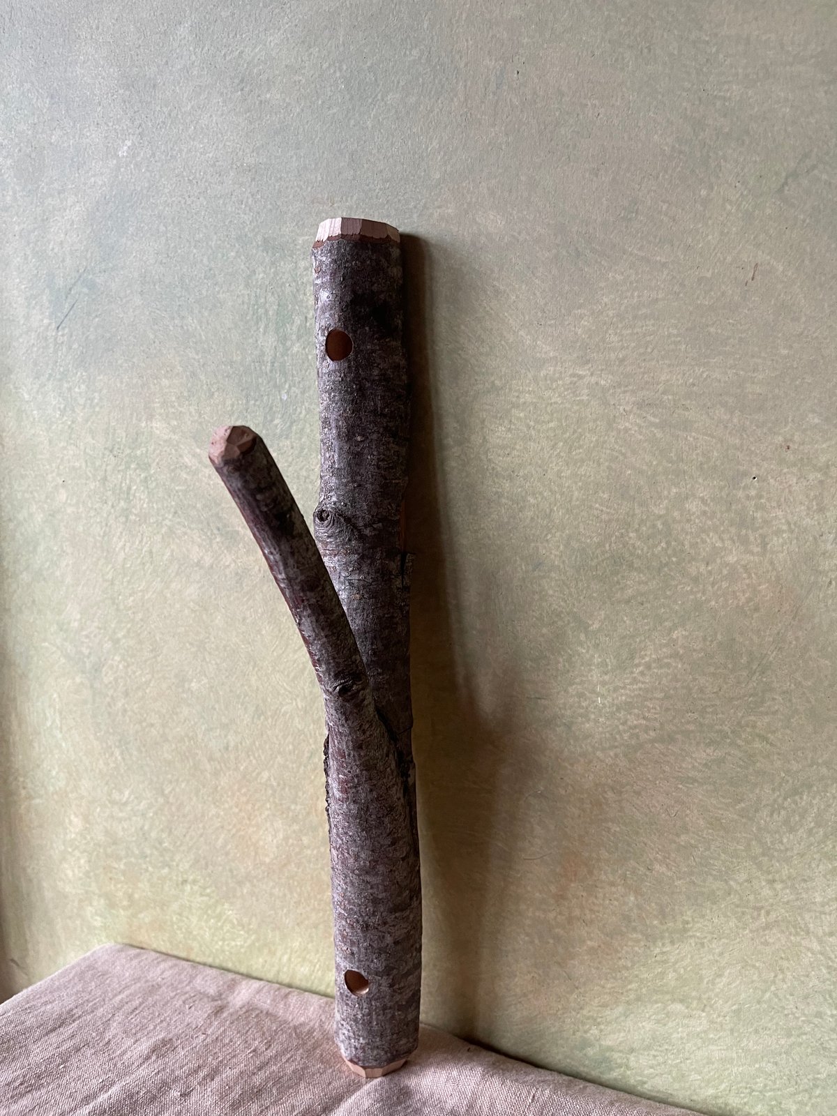 Twig store wall hook