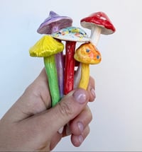 Image 2 of Mushroom cluster