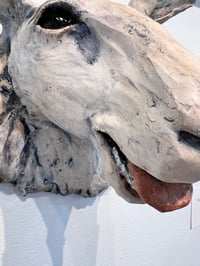 Image 3 of What a "Ewe-nique" experience- Julie Kradel