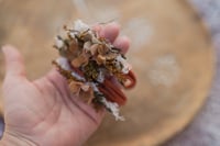Image 2 of autumn Rust