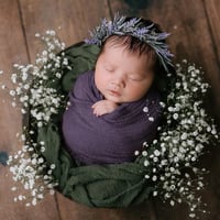 Image 8 of Lavender Halo