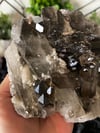 Smoky Quartz Cluster 