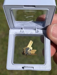 Image 5 of Golden Rutile & Hematite Star Specimen|Brazil #2932