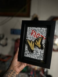 Paramore Riot butterfly 